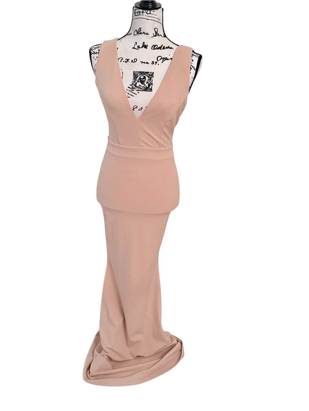 Windsor Sleeveless Deep V  Gown in Blush/nude